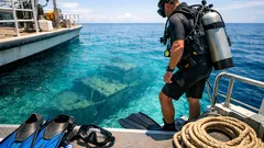 Divers mistook it for a shipwreck, then found the world’s largest known single coral colony